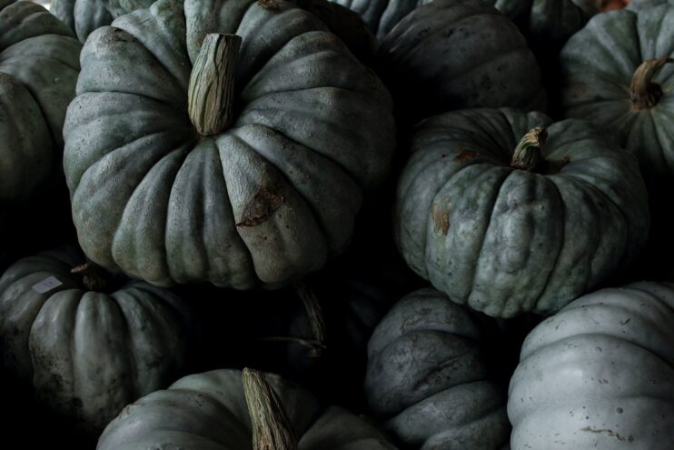 picture of acorn squash collection