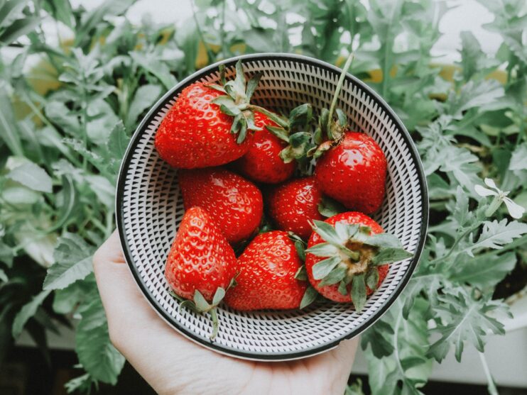 Picture of strawberries kept in a plate