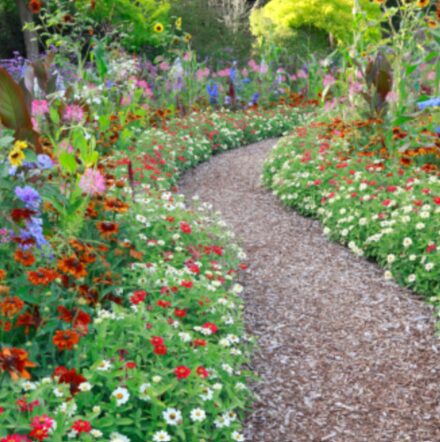 a garden walkway