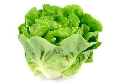 Picture of lettuce