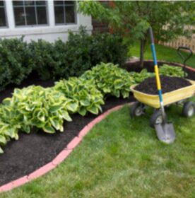 garden using mulch