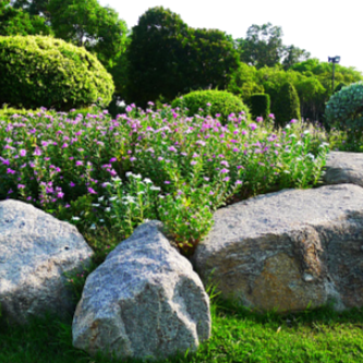 picture of rocks in garden