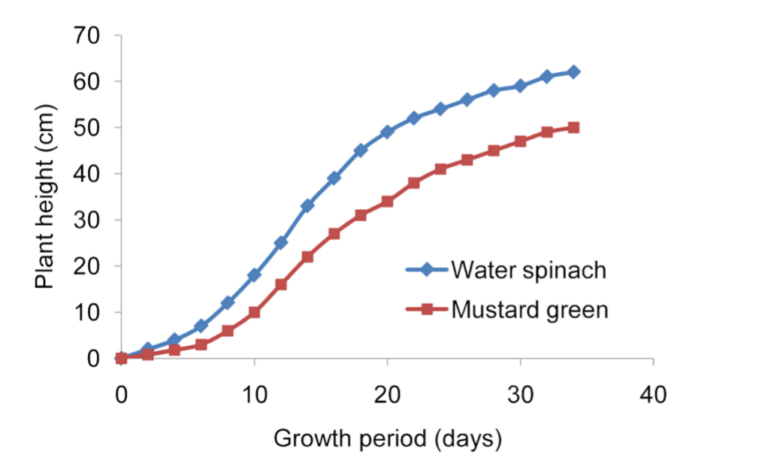 how-many-inches-does-a-plant-grow-in-a-week-gardening-rookie