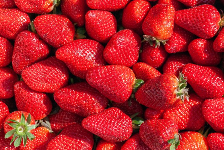 Picture of collection of strawberries