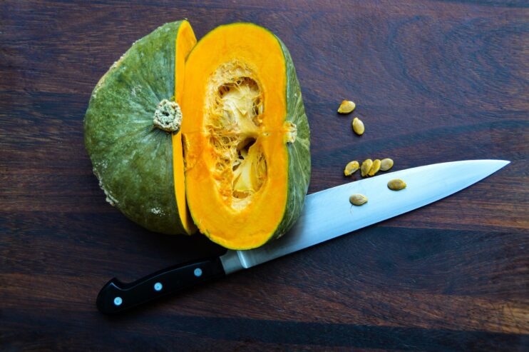 are acorn squash safe for dogs