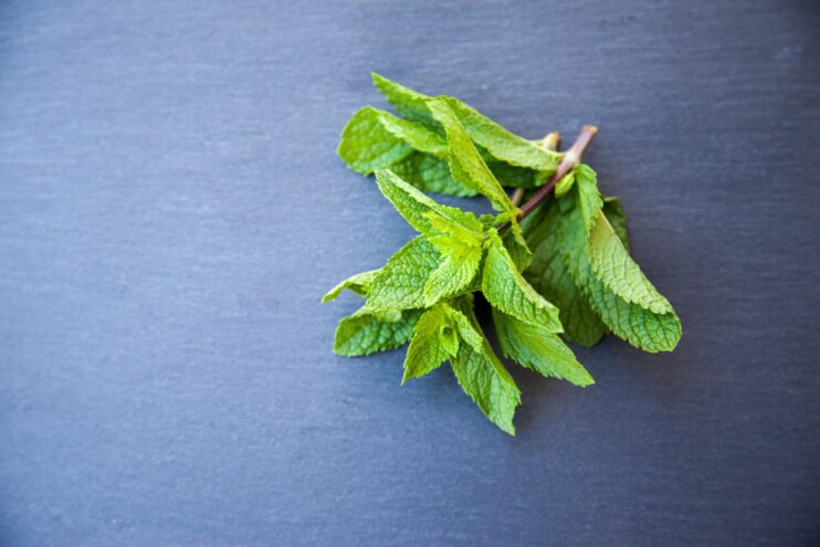 picture of mint leaves