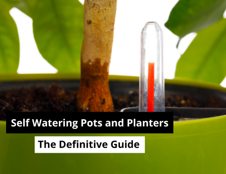 Self Watering Pots and Planters